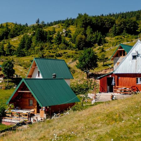 Bed and Breakfast Household Uscumlic - Oaza Mira Plužine Zewnętrze zdjęcie