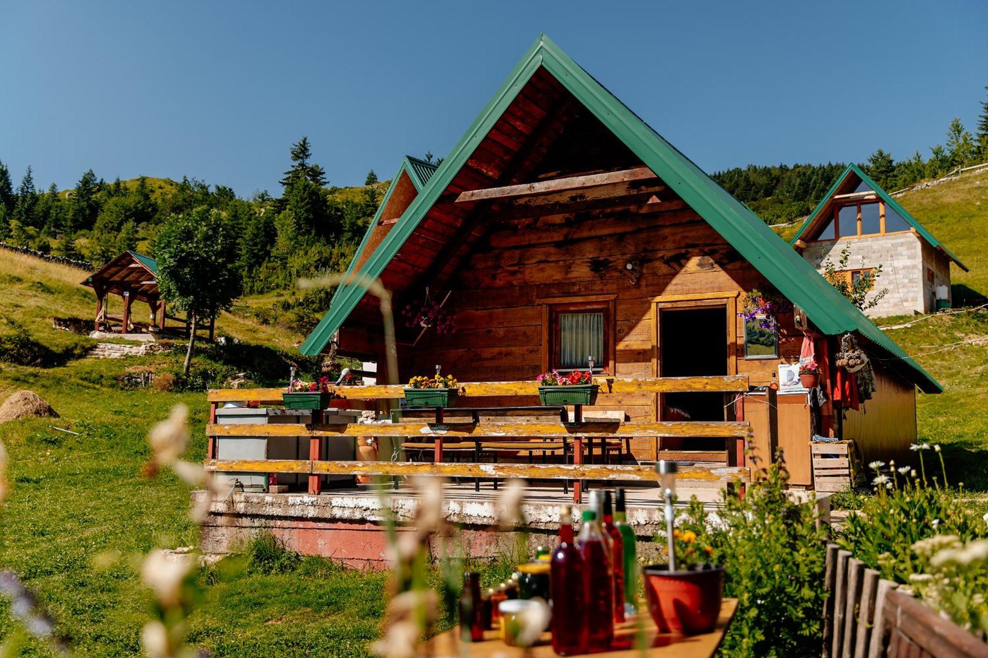 Bed and Breakfast Household Uscumlic - Oaza Mira Plužine Zewnętrze zdjęcie