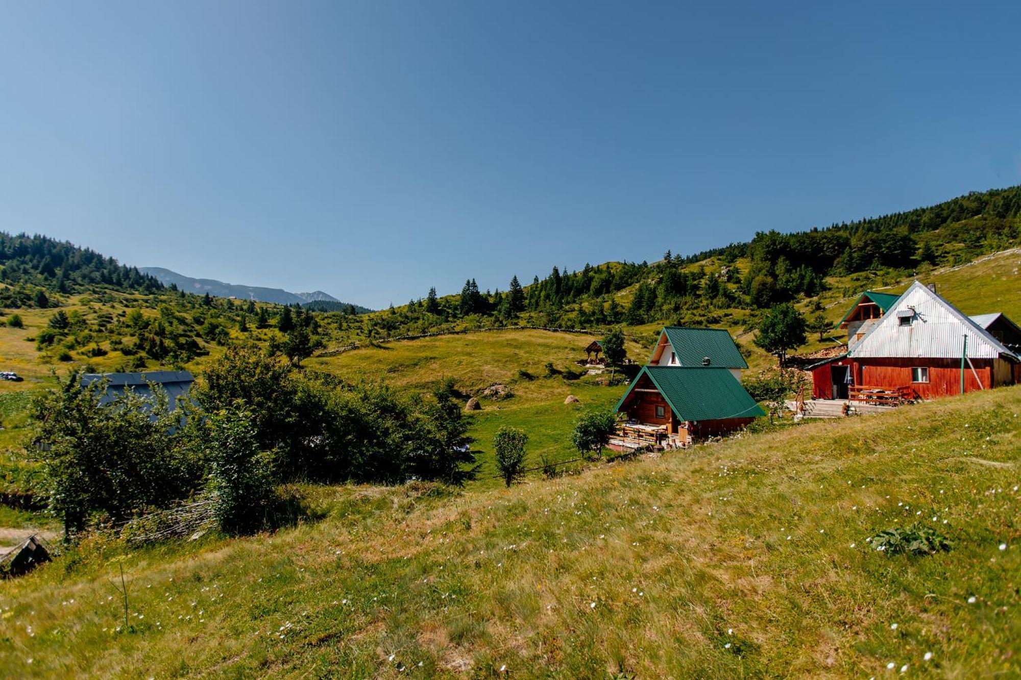 Bed and Breakfast Household Uscumlic - Oaza Mira Plužine Zewnętrze zdjęcie